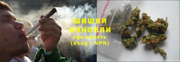 сатива Аркадак