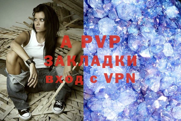 сатива Аркадак